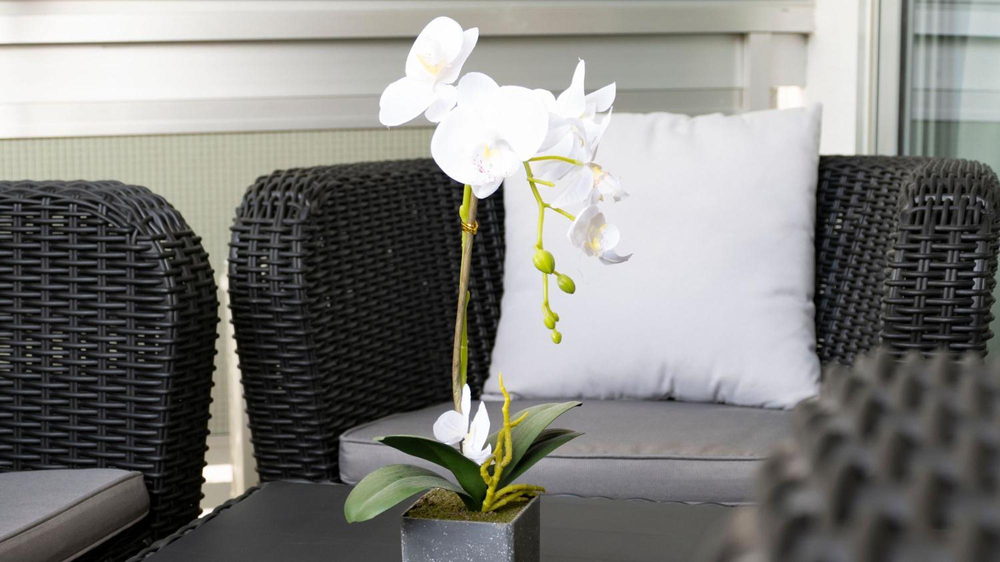 The White Corner By Homestaygrancanaria San Bartolomé Zewnętrze zdjęcie